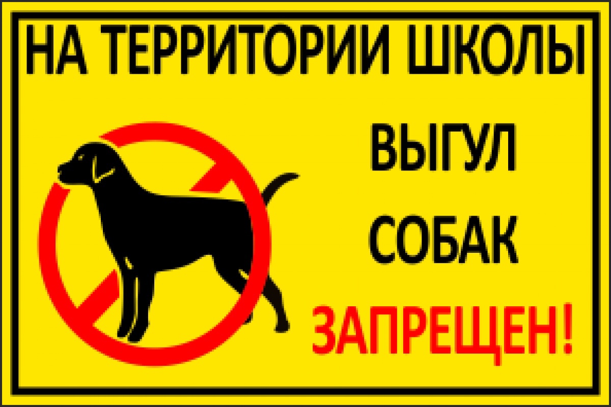 Чтоб собака не гуляла. Выгул собак запрещен. Табличка выгул собак. Выгул собак на территории запрещен табличка.